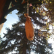 Image for article titled Shooting Challenge: Cellphone Gallery Part 3